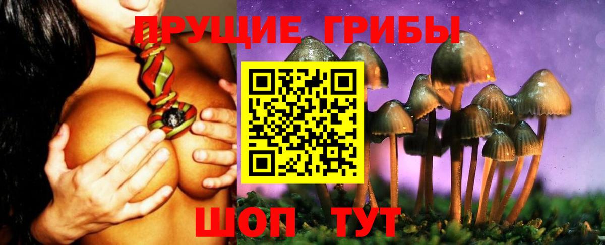 сколько стоит  Вход с VPN  Ухта  Псилоцибиновые грибы Psilocybine cubensis  Псилоцибиновые грибы прущие грибы 